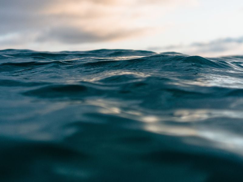 Liquid Staking Tokens Are a Hot Ticket for 2024