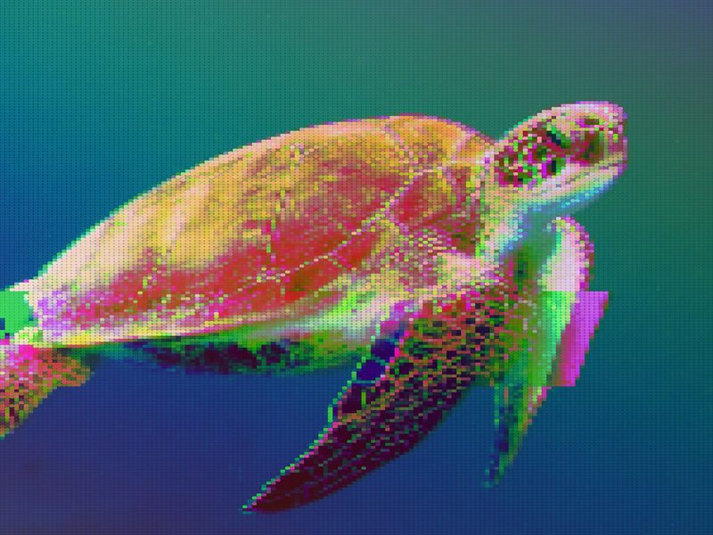 Paying for Use Slows Down Crypto’s Search for a Use Case