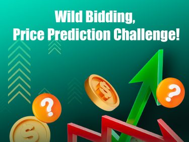 Wild Bidding, Price Prediction Challenge!