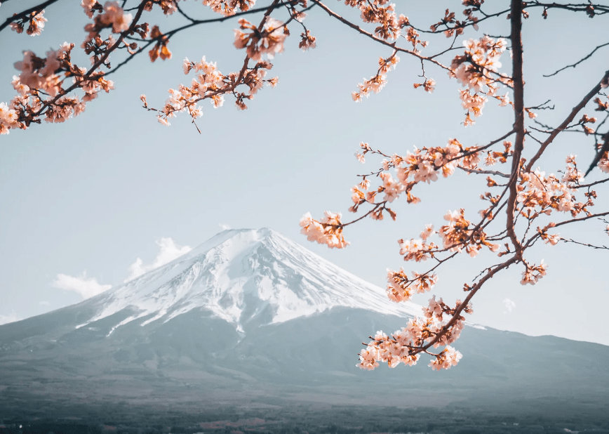 聆聽產業聲音!日修訂2024稅改大綱:加密貨幣「未實現獲利」取消課稅