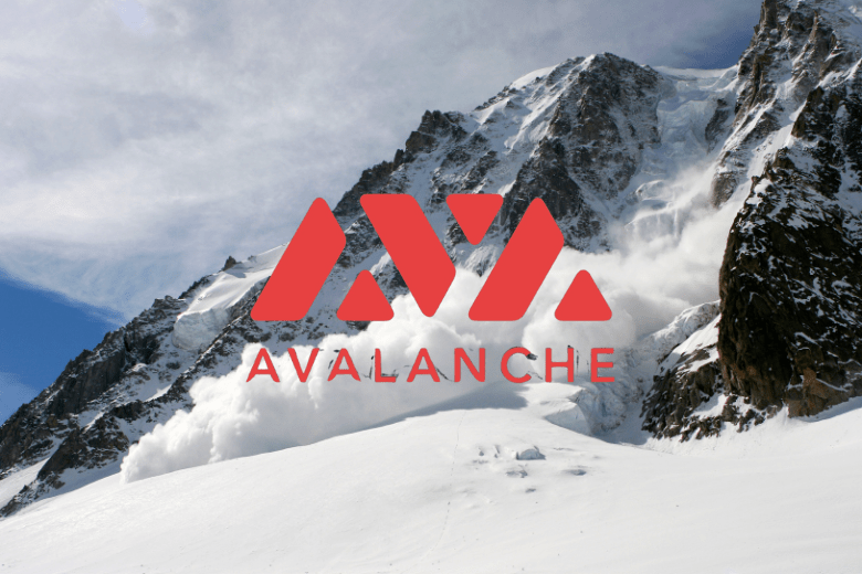 雪崩基金會推迷因幣蒐藏計畫，將買入精選迷因幣以推動鏈上文化