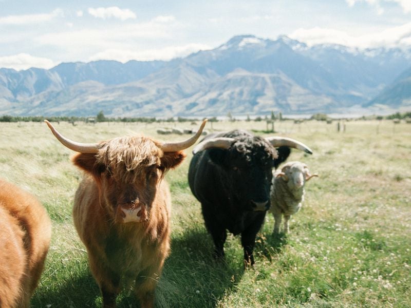 Bitcoin Could Reach $160K in 2024 on the Back of Halving, Spot ETF Hype: Analysts