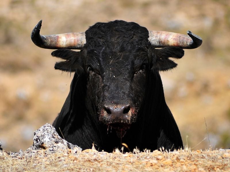 Bitcoin Eyes $40K as $1B in BTC Withdrawals Suggests Bullish Mood