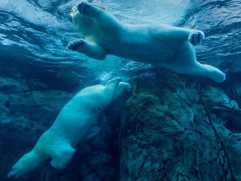 Bitcoin Slides Below $40K, Now Down Nearly 20% From Post-ETF Euphoria