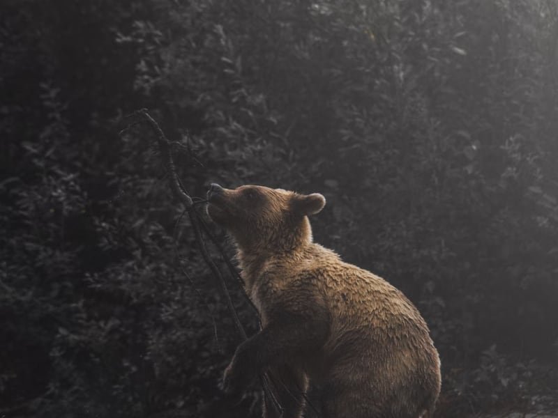 Crypto Bulls Lose $217M as Apparent Grayscale Sales Weighs on Bitcoin