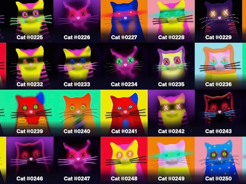 Taproot Wizards Delays ‘Quantum Cats’ Sale for 2nd Time, After Messy Bitcoin NFT Debut