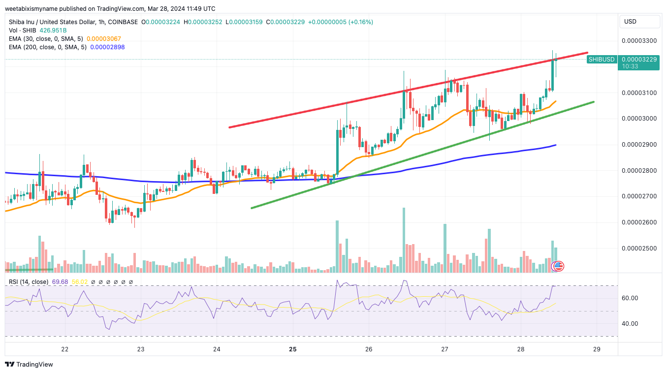 鲸鱼进场！　柴犬币交易量激增至15亿美元　价格走势如何？
