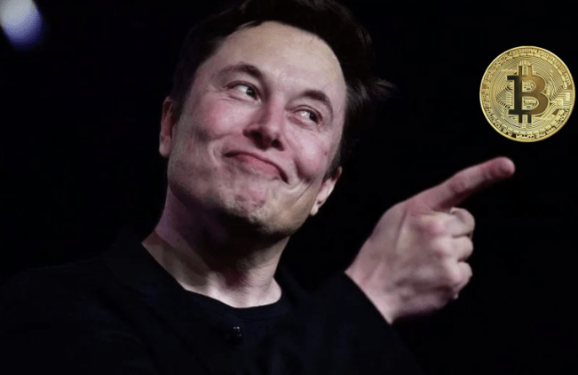 Arkham：馬斯克旗下特斯拉和 SpaceX 持有近 2萬枚比特幣