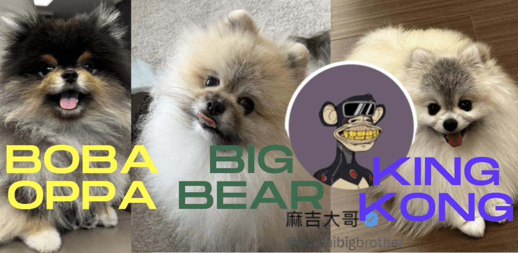 麻吉大哥命很硬，創幣必爆衝，將為愛犬發幣？