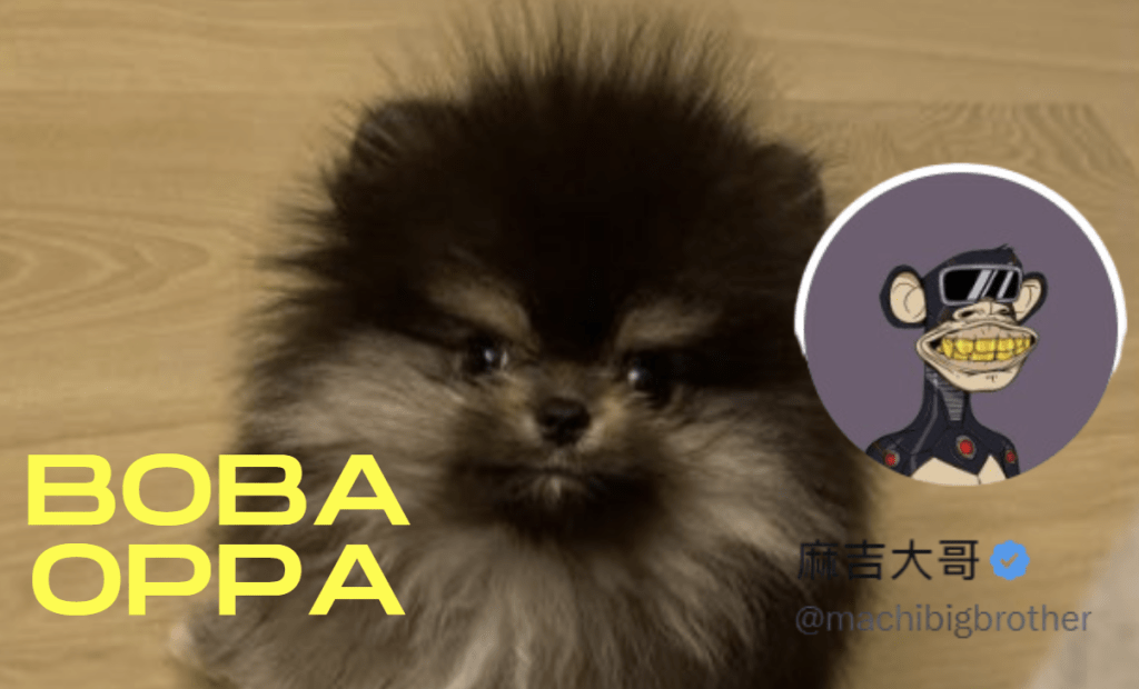 麻吉大哥發幣了！狗兒子BOBAOPPA 已募得近 18 萬枚 SOL