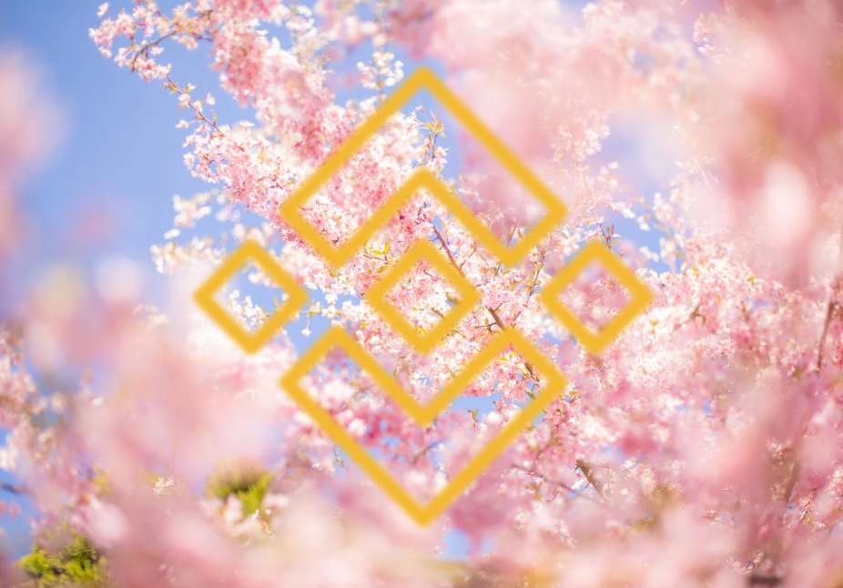 幣安甩陰霾!BNB 睽違兩年重上 500,Launchpool 重造推進力?