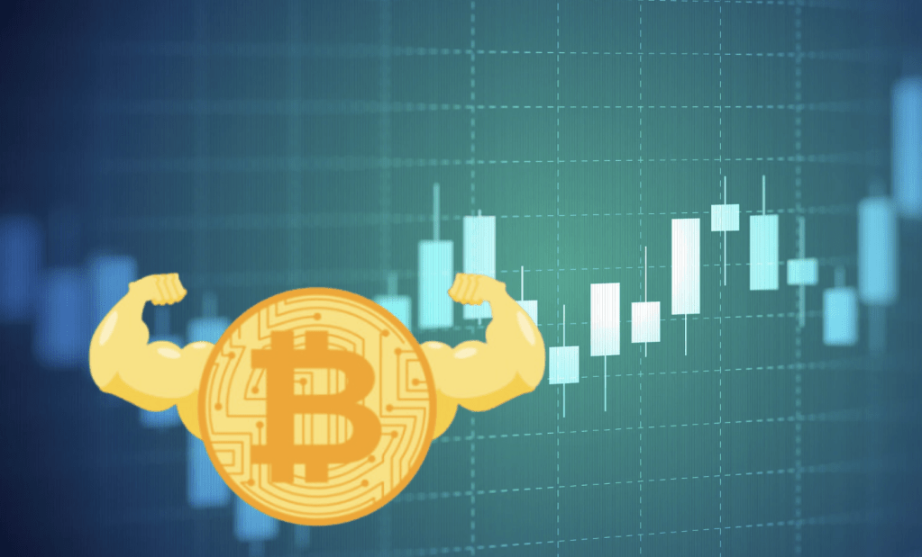 Adam Cochran：市場健康回溫，比特幣將在高檔盤整後續創新高