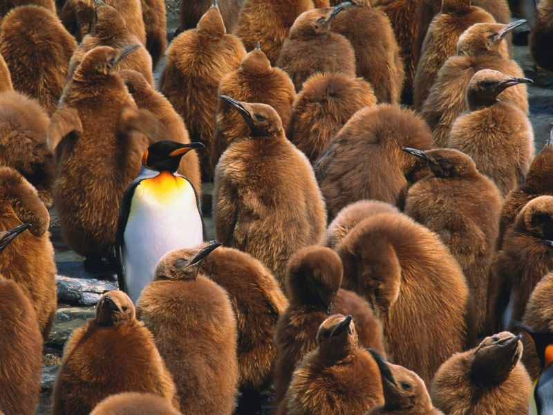 Why Diversification Matters for Crypto, Too