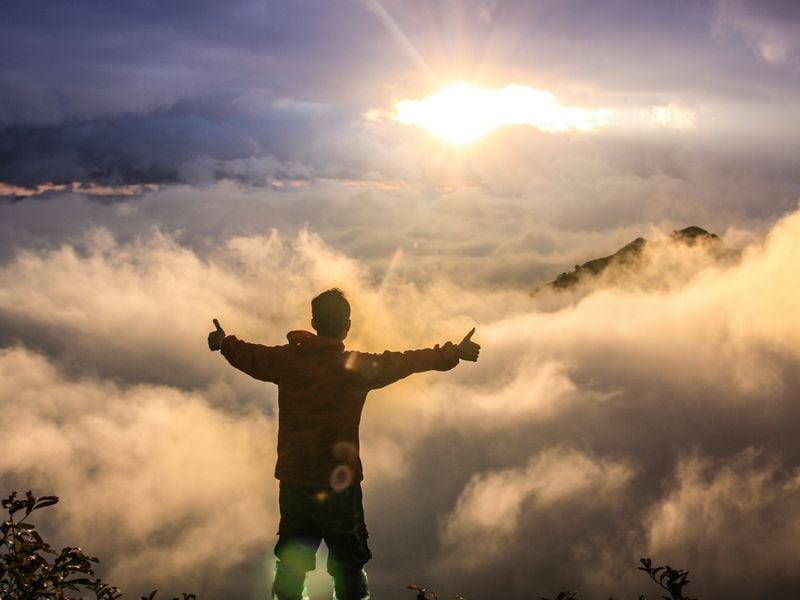 The Protocol: Bitcoin Cry for Help Heard