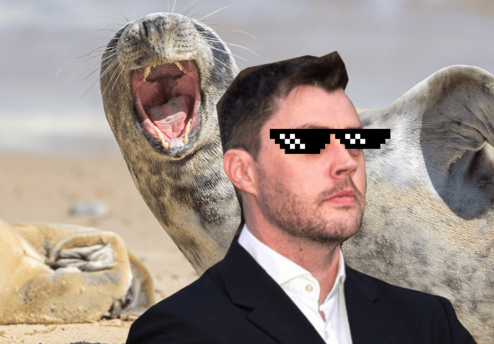 Andre Cronje：歡迎到 Fantom 找我發迷因幣，有「更安全」的迷因幣做法