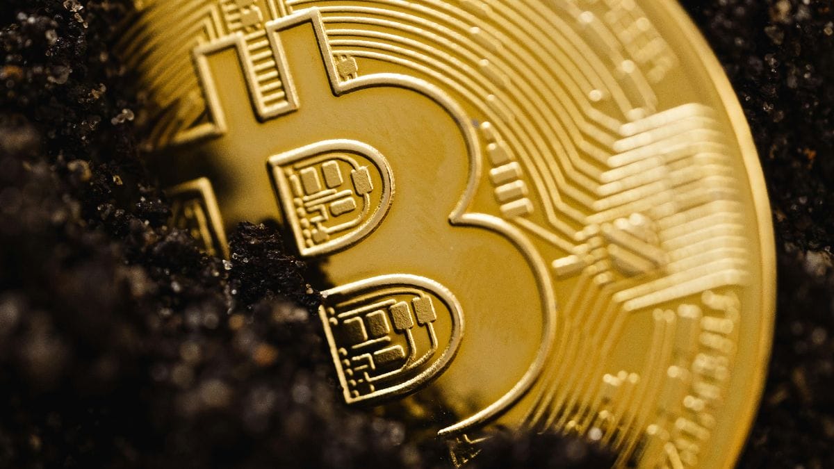 Bitfinex分析：比特币减半后有望上涨160%  短期投资者在6万美元以上位置布局