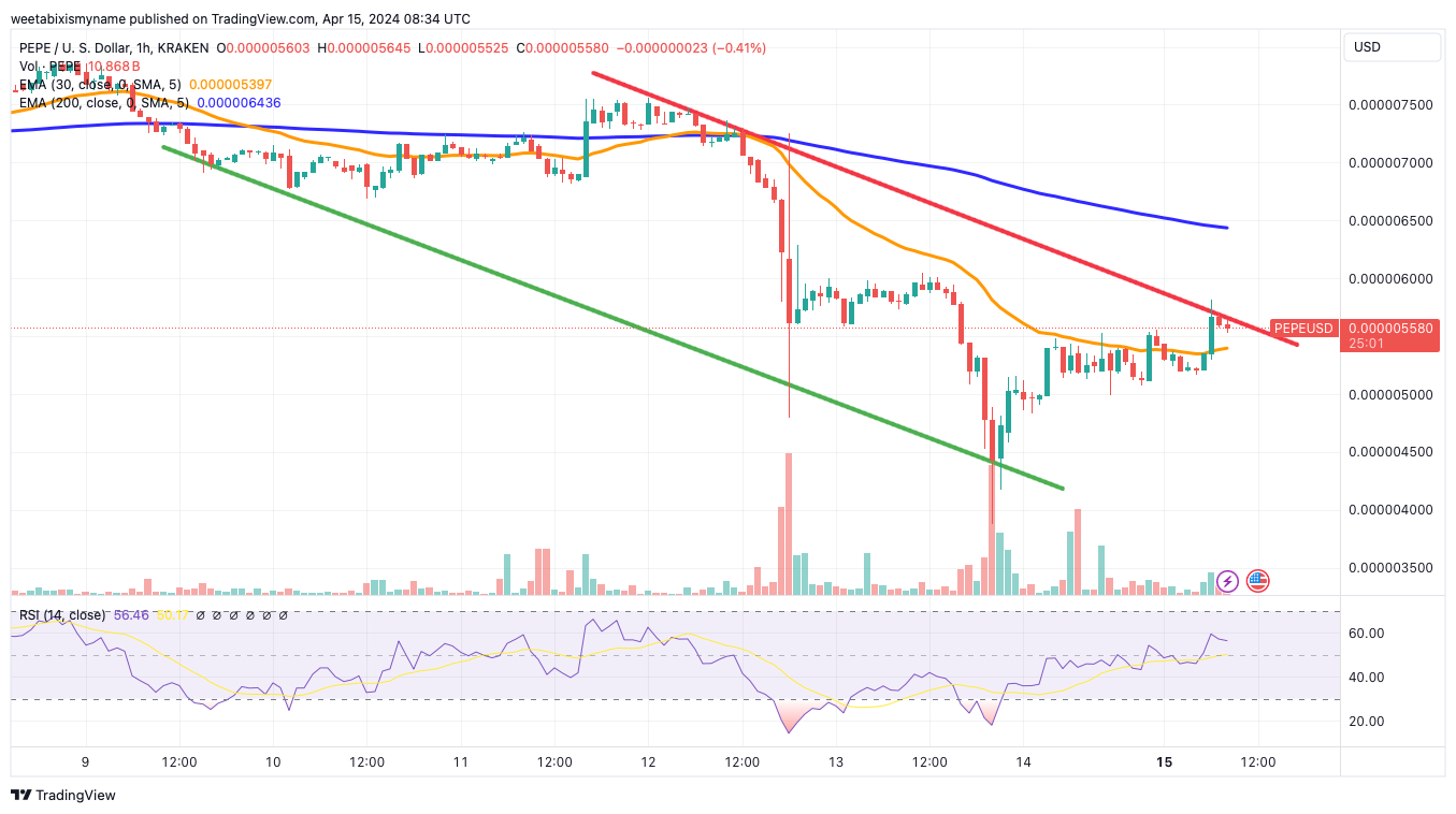 PEPE下跌30%随后反弹　是买入机会？