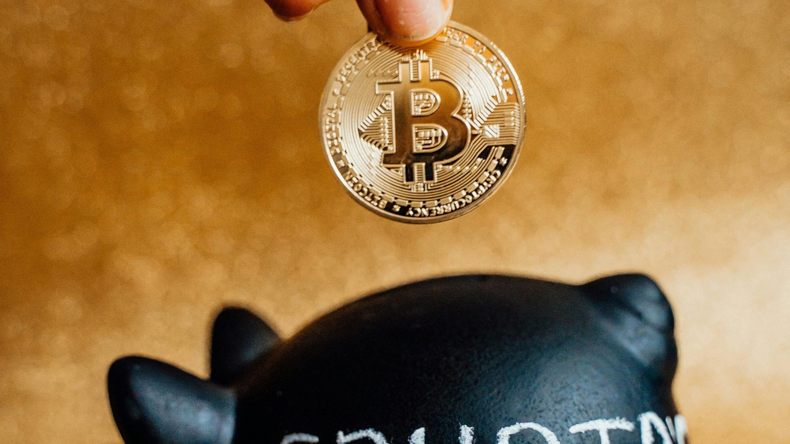 国际货币基金组织：小国流入比特币比例高 BTC已成重要抗通胀工具