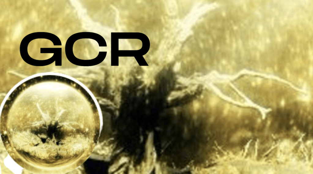 做空 LUNA 成名的 GCR 發文鼓勵社群，要用現貨堅持不投降