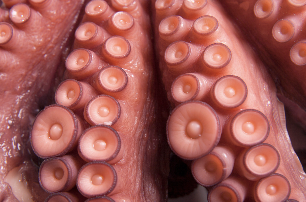 ​EP.186 鏈新聞徵才中！歡迎來信洽談呀～～～feat.Wade