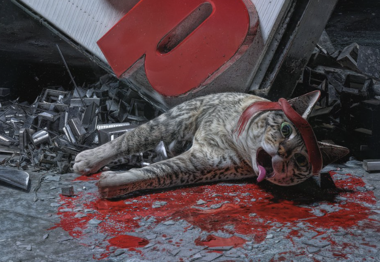 ​Roaring Kitty 歸來：Keith Gill 自迷因股狂潮以來首次直播，GME 暴跌 40%