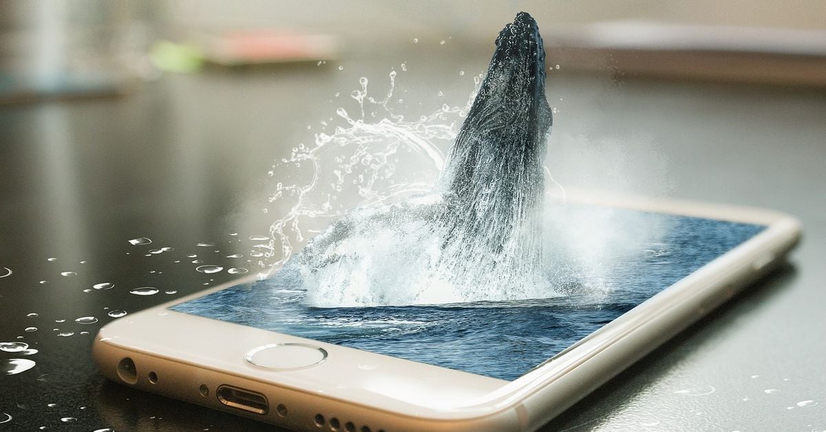 Long Dormant Whale Sends $61M BTC to Coinbase, On-Chain Data Shows