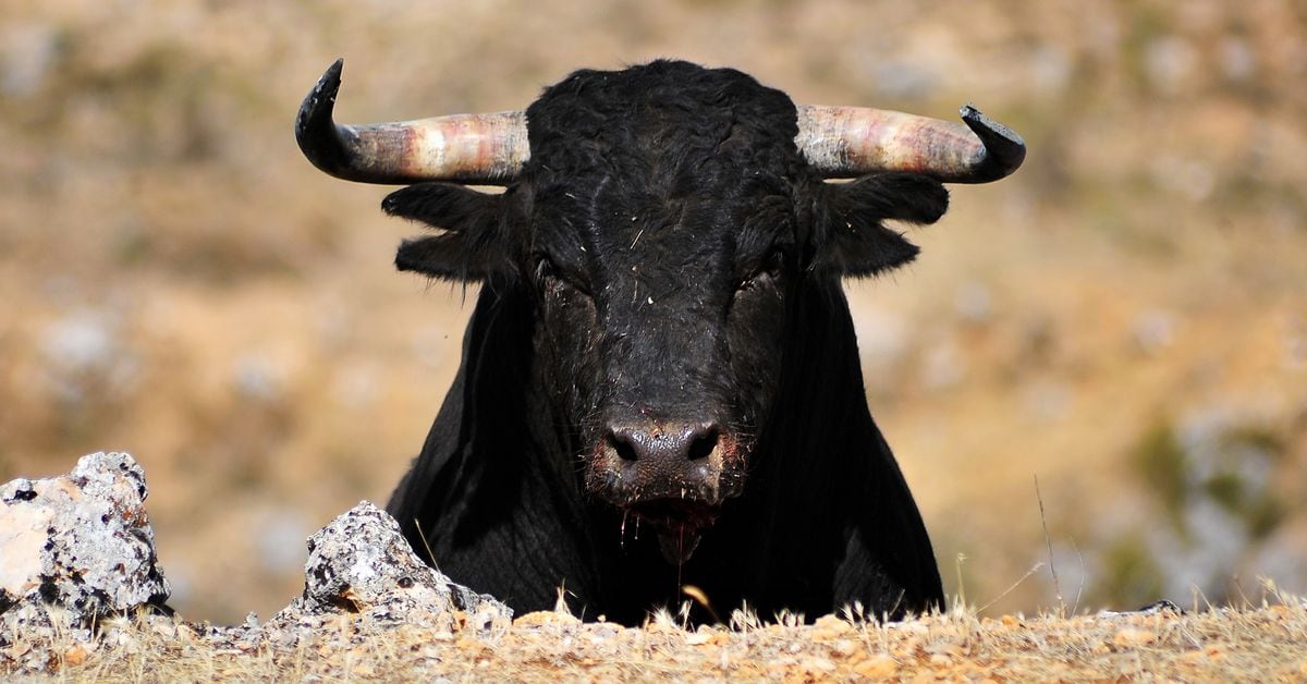 Renewed Bullishness Expected After Bitcoin, Ether’s $10B Options Expiry on Friday