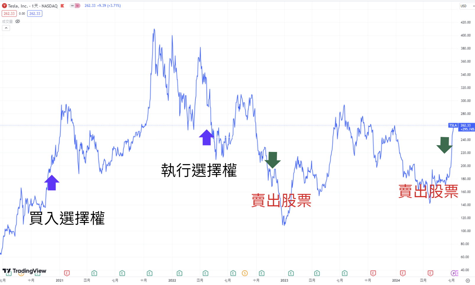 ​政壇女股神裴洛西，半年投資賺入百年薪，投資標的和策略是什麼？