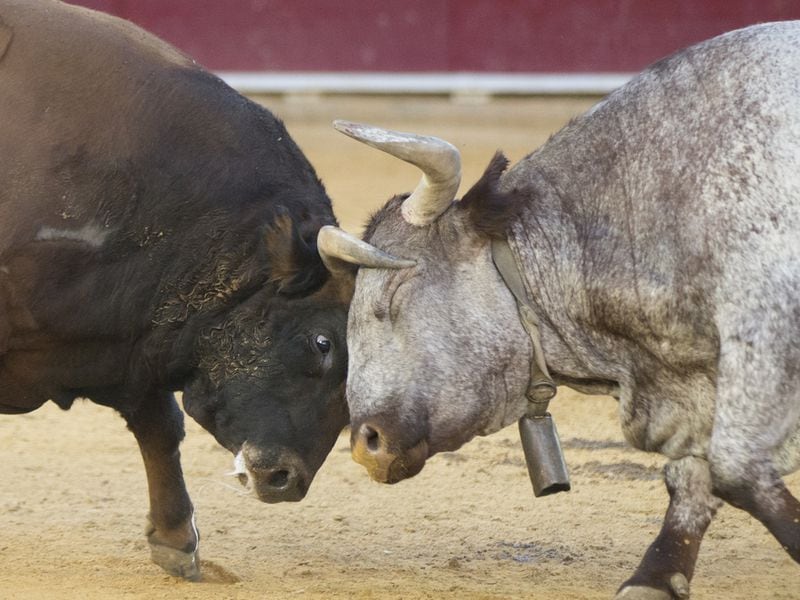 Bullish Bitcoin Drivers Remain in Play Despite Germany’s Sales, Mt. Gox Reimbursements