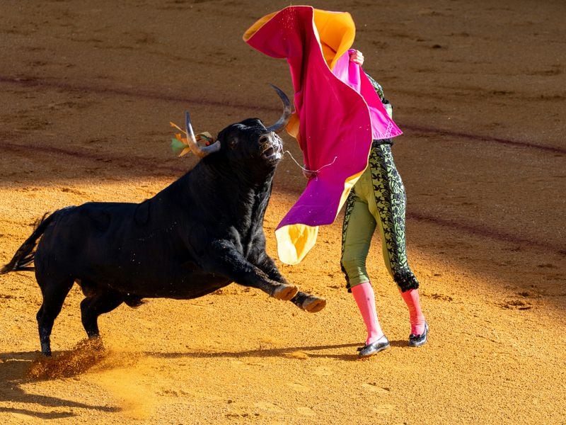 The Anatomy of a Crypto Bull Market