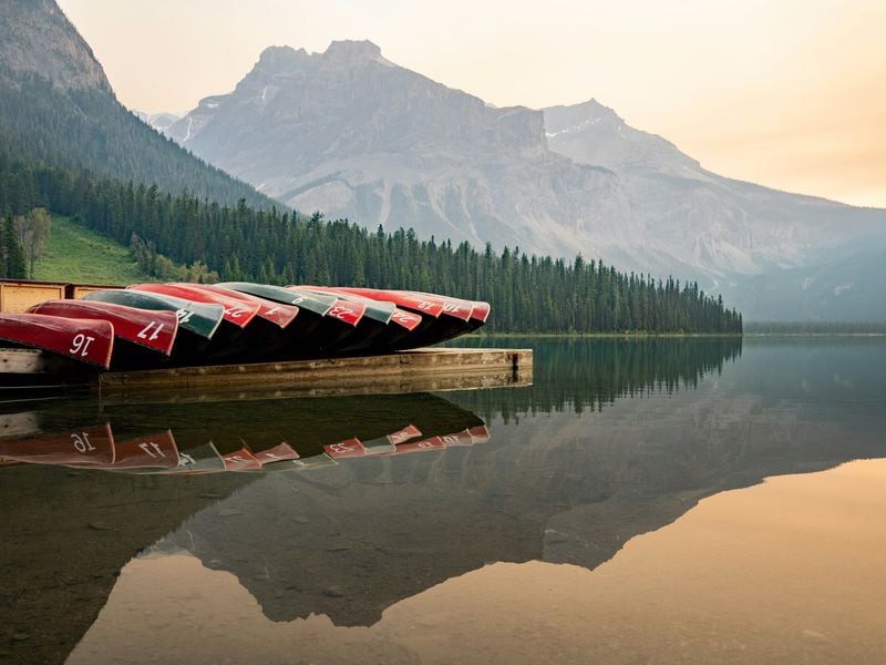 After 2022’s Bust, Scars Are Healing In Crypto Lending