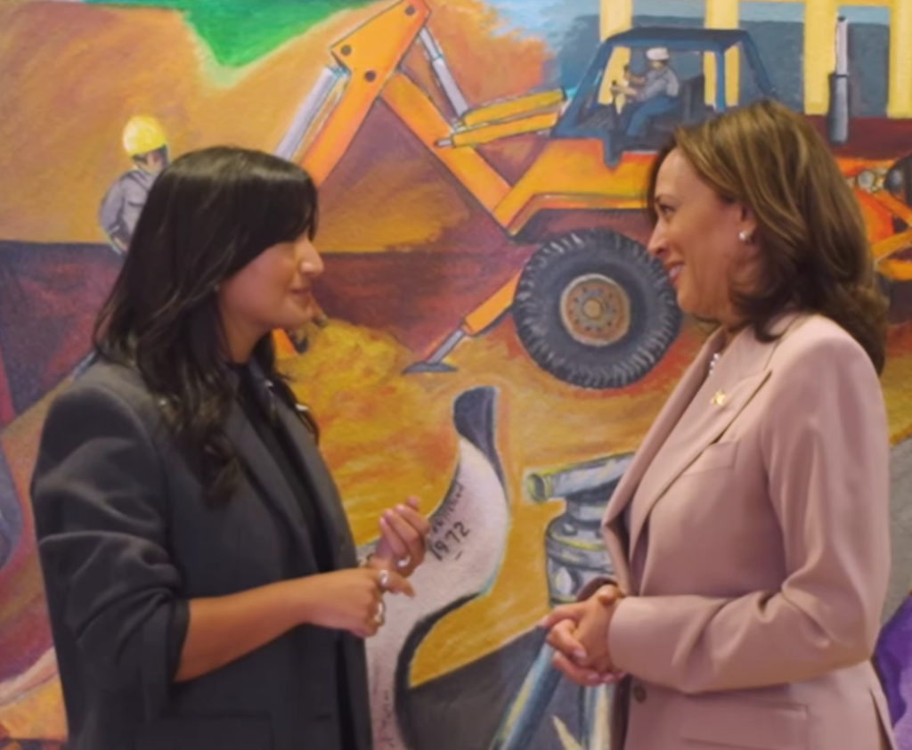 ​TikTok 國安疑慮擺一邊，民主黨全代會邀請 KOL 現場直播