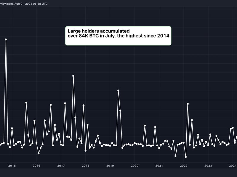 Data indicates that major Bitcoin holders accumulated $5.4 billion in BTC during July.