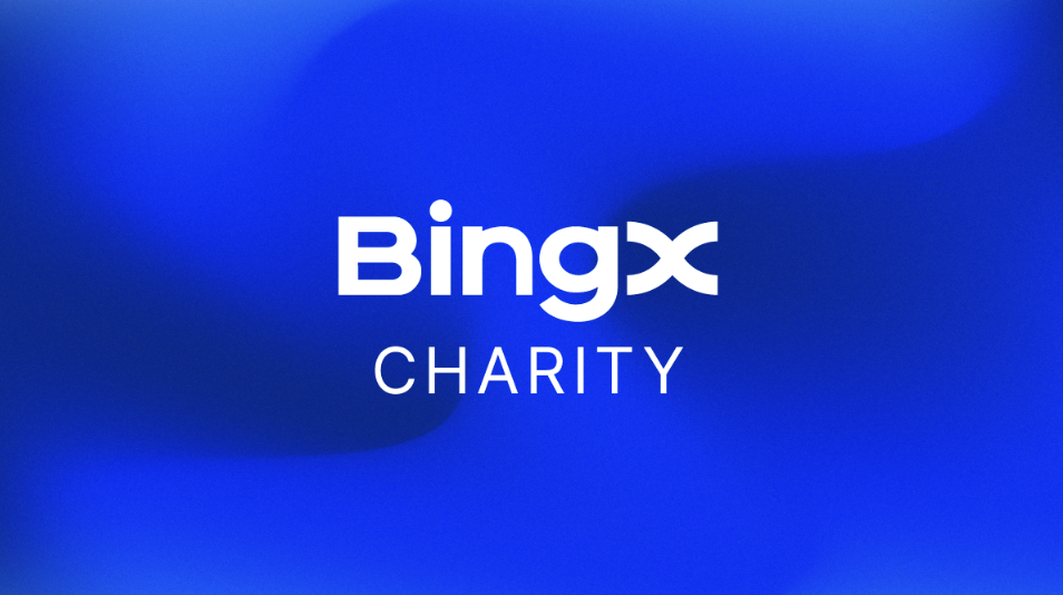 ​BingX 伸援越南「摩羯」颱風災區，捐贈 10 億越南盾助力災後重建