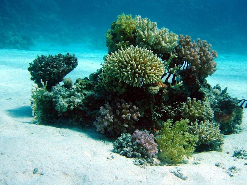 Bitcoin Bottom In? BTC Order Book Liquidity Says Yes