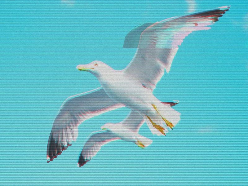 Flappy Bird Creator Dong Nguyen Comes Out of Social Media Retirement to Take a Swing at GameFi