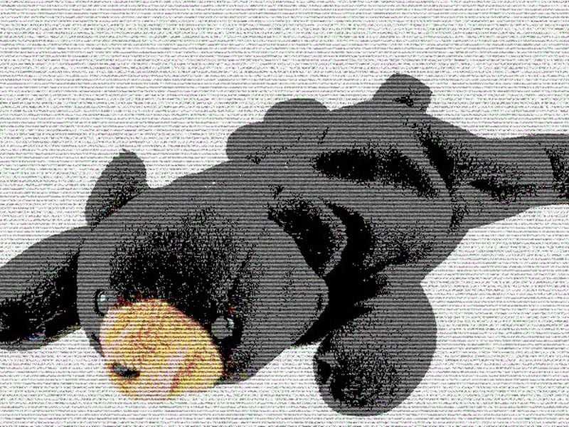 Bitcoin Recovers to $58.3K at Start of Seasonally Bearish September