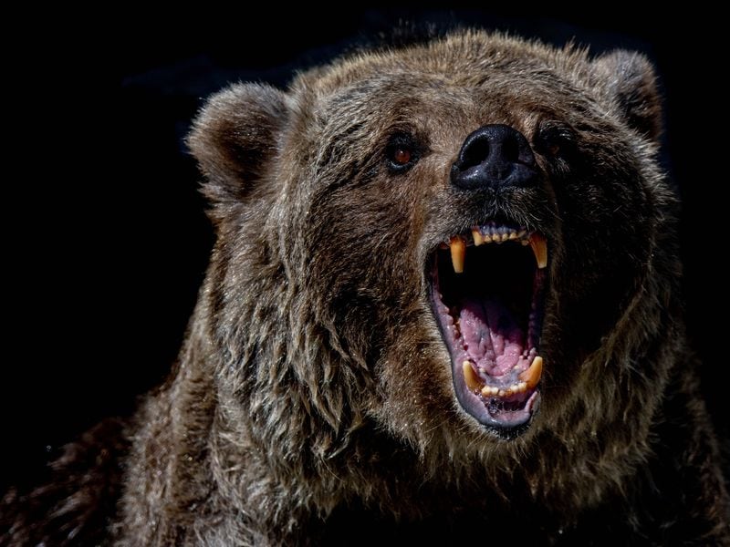 Bitcoin Wavers at $62K Amid Major Swings in Stocks, Gold; Memecoins Falter as Profit-Taking Sets In