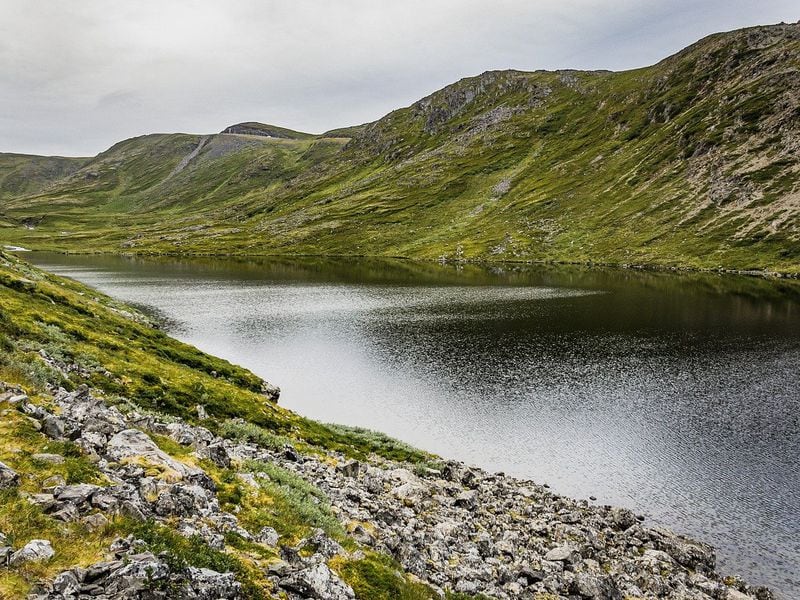 Bitcoin Exchange River Financial Allowing Users to Earn BTC Interest on Cash Deposits