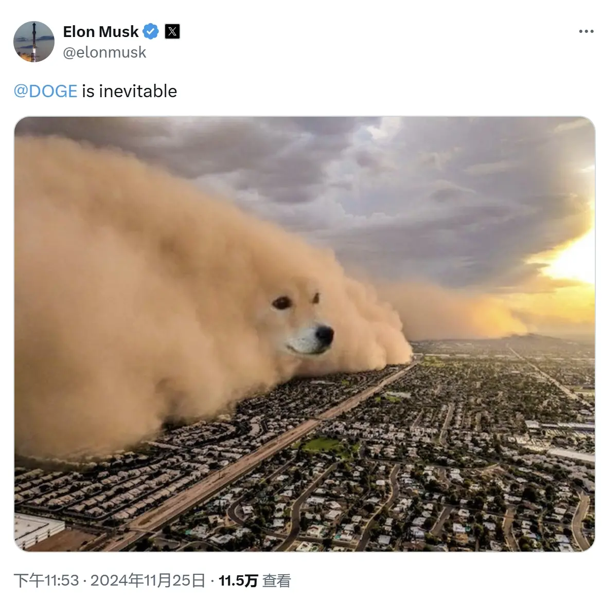 马斯克：DOGE 是不可避免的