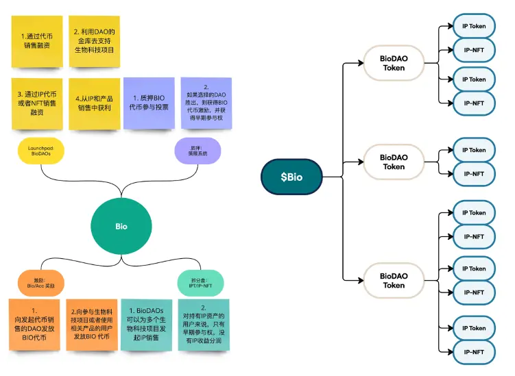 DeSci 需要回归价值还是追逐 Meme? 岔路口前,应向左还是向右?