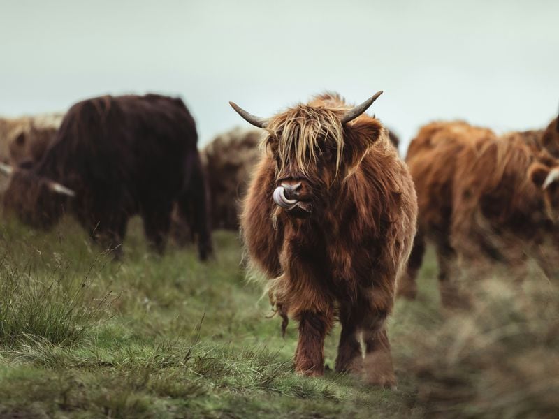 Bitcoin Touches Record-High $85K, Adds Almost $20K in a Week