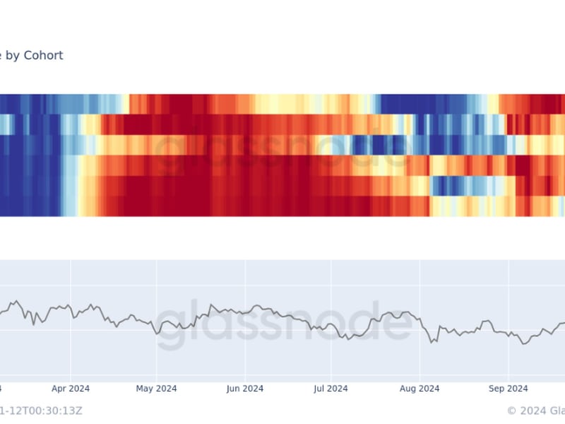 Bitcoin ‘Shrimps’ Buying the Historic Rally as Whales Offload: Van Straten