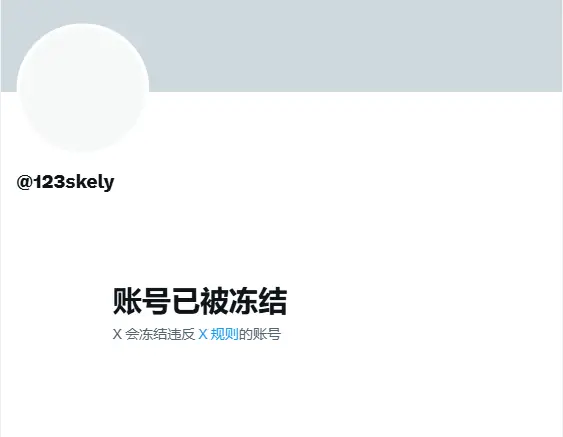 aiPool 创始人 Skely X 账号遭冻结