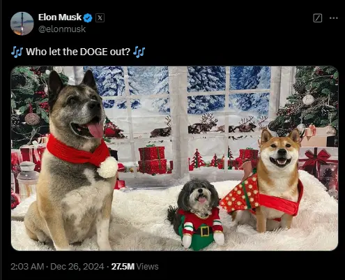 马斯克发帖提及 DOGE