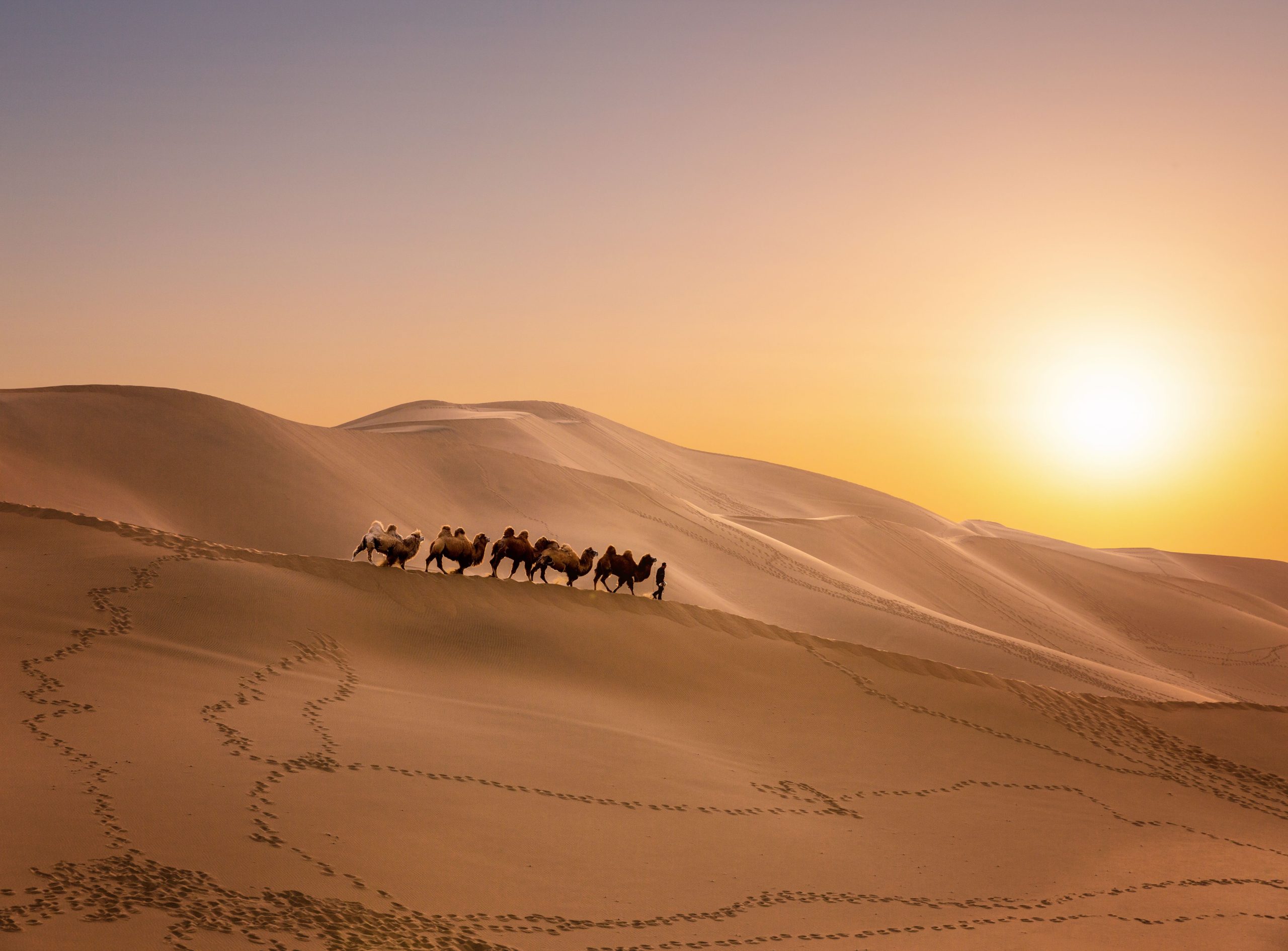 Silk Road Bitcoin Worth Nearly $2B Moved to Coinbase Prime