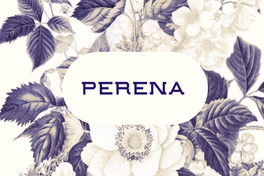 Binance Labs 投資 Solana 去中心化穩定幣協議 Perena,主打穩定幣交換機制:Numéraire