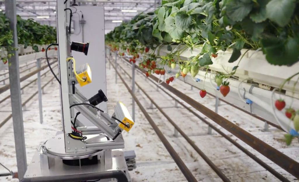 ​Zordi 運用輝達 Jetson AGX Orin AI 技術，革新溫室水耕草莓栽培方法