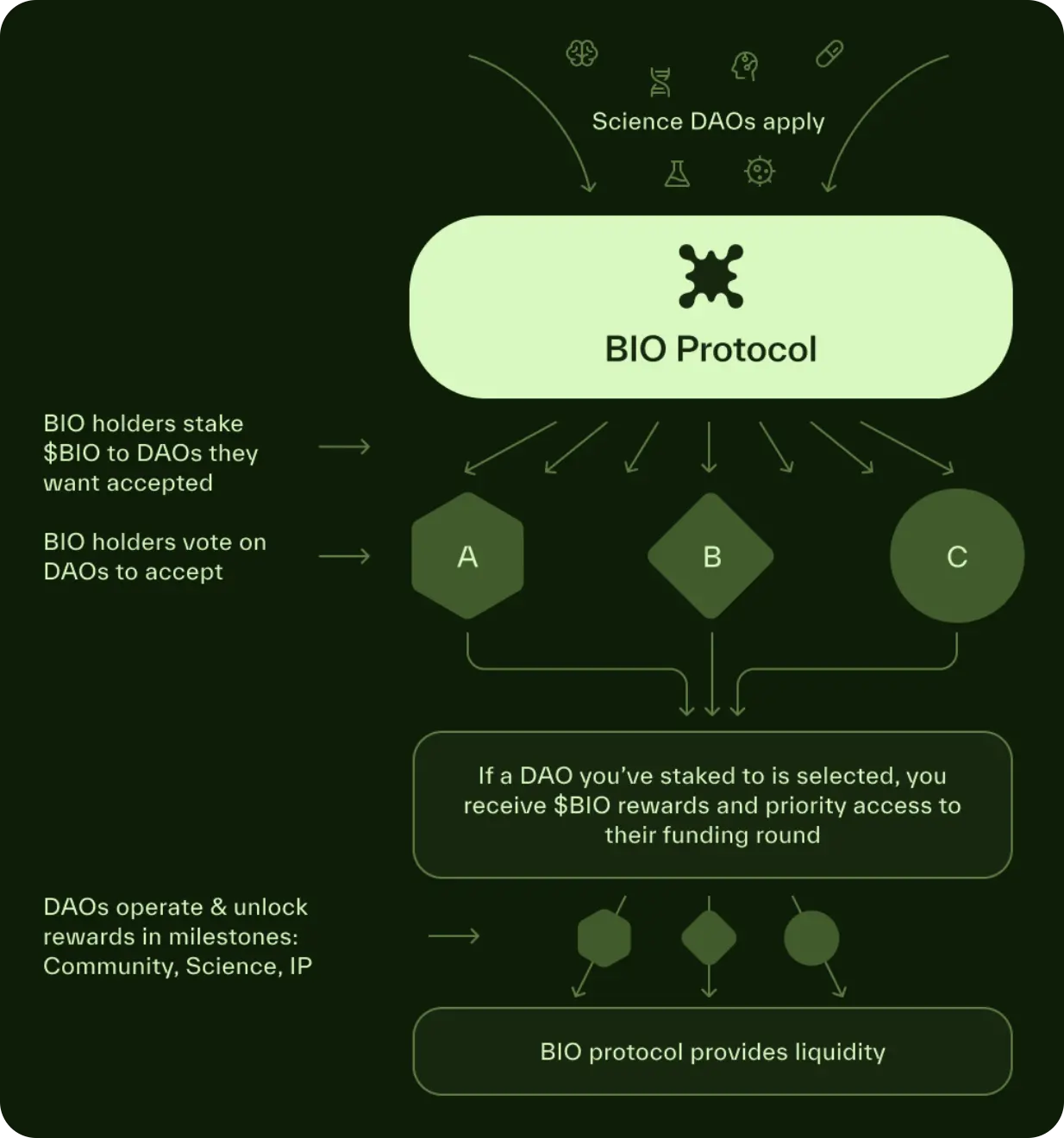 详解 BIO Protocol 及 DeSci 领域项目如何革新科研发展新范式