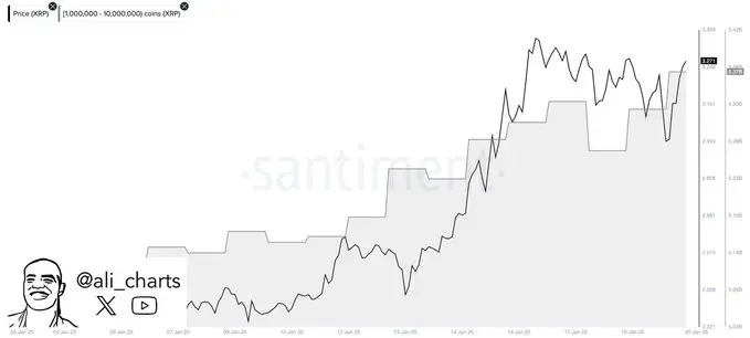数据：过去 48 小时鲸鱼用户累计购买入超 1 亿枚 XRP